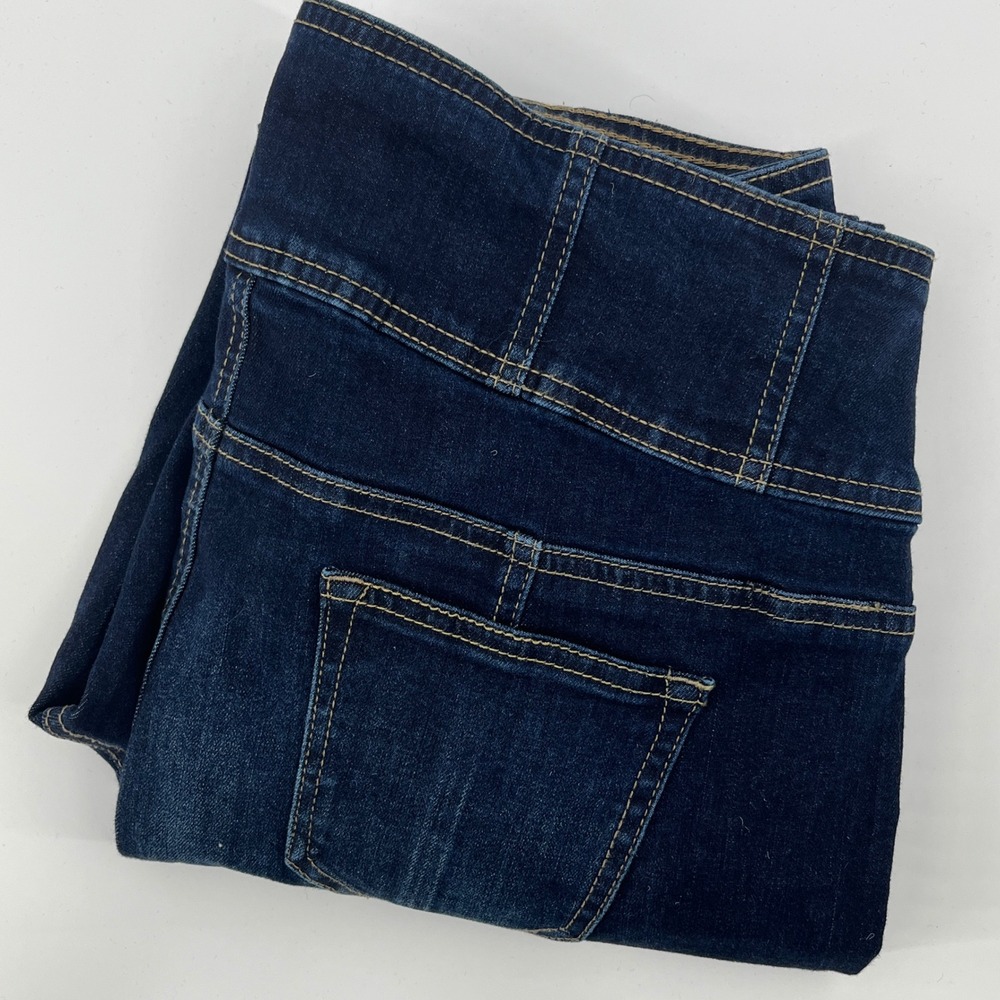Ashley Stewart Womens Dark Wash High Rise Seamed Skinny Jeans Blue Size 12